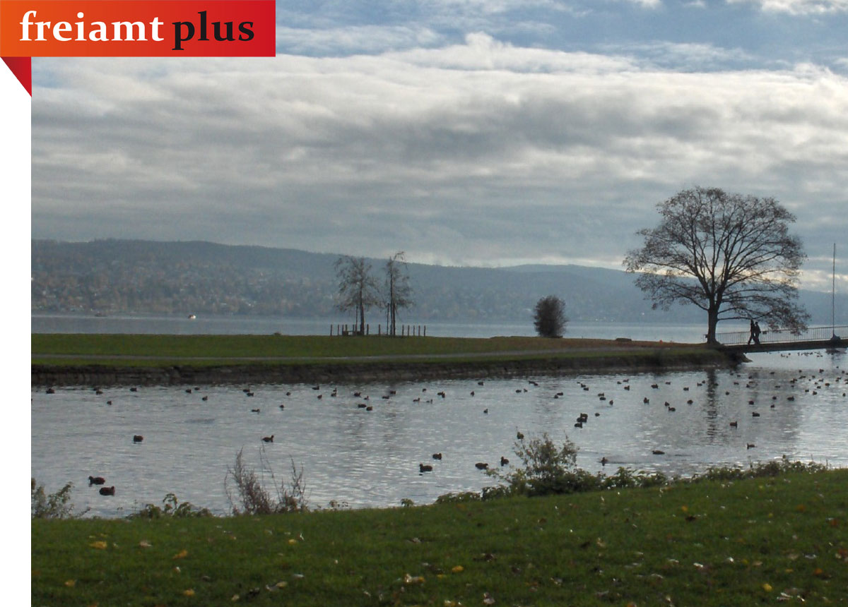 home advent insel