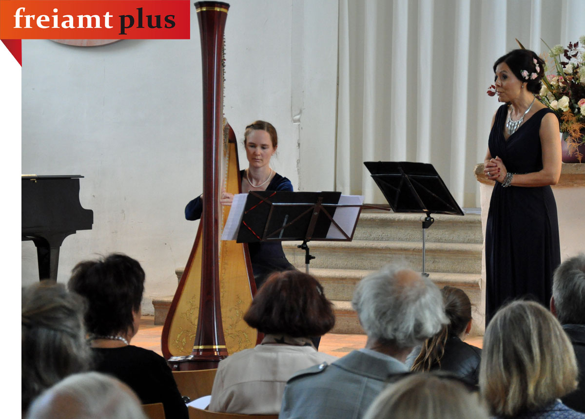 home tab boswil tag tür