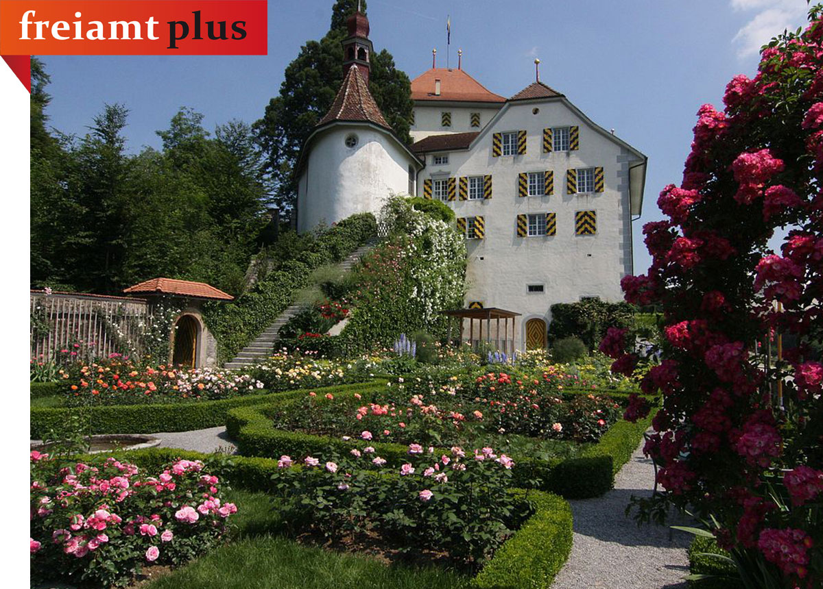 home tab schloss heidegg poesie