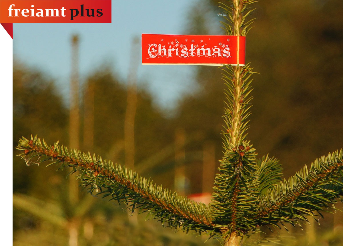 home tab advent tannenbaum